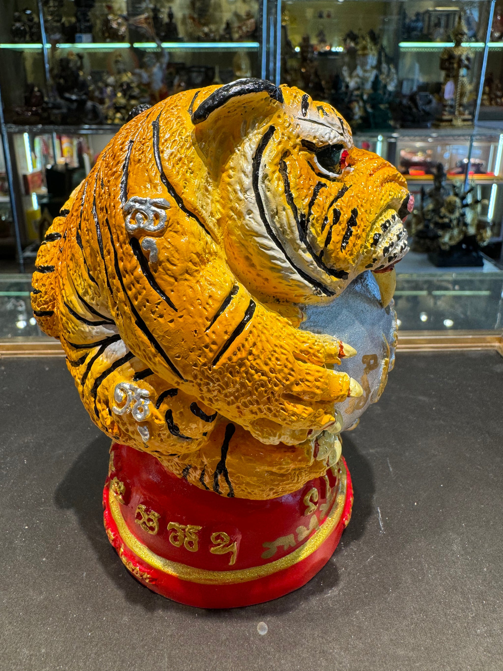 龍婆本廟供請最著名聖物之一✨ 非常可愛又有威嚴既聖物老虎抱糖🐯招財